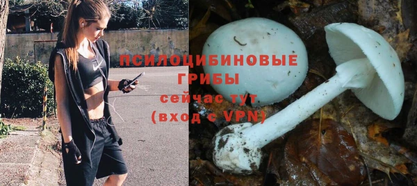 мдпв Белоозёрский